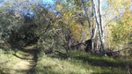 photo thumbnail #15