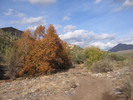 photo thumbnail #15