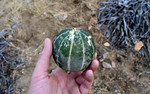 photo thumbnail #7
