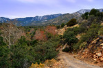 photo thumbnail #12