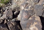 photo thumbnail #6