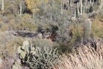 photo thumbnail #6
