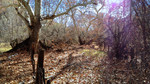 photo thumbnail #14
