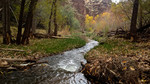 photo thumbnail #7