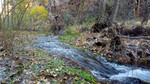 photo thumbnail #9