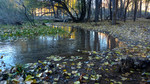 photo thumbnail #10