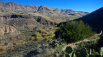 photo thumbnail #3