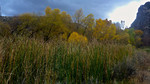 photo thumbnail #13