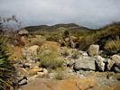 photo thumbnail #9