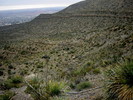 photo thumbnail #7