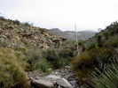 photo thumbnail #15