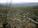 photo thumbnail #2