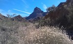 photo thumbnail #2