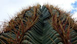 photo thumbnail #13