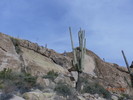 photo thumbnail #9