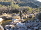 photo thumbnail #1