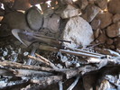 photo thumbnail #9
