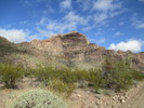 photo thumbnail #1
