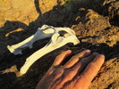 photo thumbnail #9