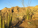 photo thumbnail #10