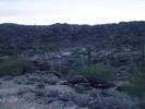 photo thumbnail #1