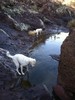 photo thumbnail #8