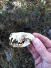 photo thumbnail #10