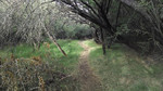 photo thumbnail #12