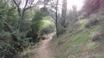 photo thumbnail #13