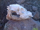photo thumbnail #3