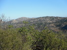 photo thumbnail #13
