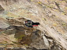 photo thumbnail #12