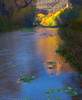 2013-12-07 :2: Aravaipa Canyon :: desertgirl