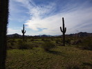 photo thumbnail #8