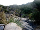 photo thumbnail #2