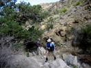 photo thumbnail #4