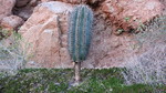 photo thumbnail #4