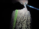 photo thumbnail #15