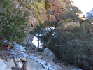 photo thumbnail #8
