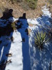 photo thumbnail #11