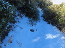 photo thumbnail #12
