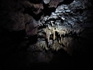photo thumbnail #15
