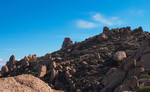 photo thumbnail #7