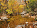 photo thumbnail #8