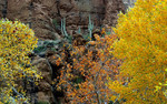 photo thumbnail #10
