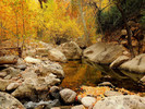photo thumbnail #12