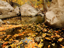 photo thumbnail #13