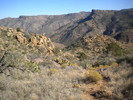 photo thumbnail #7