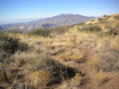 photo thumbnail #9