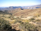 photo thumbnail #10